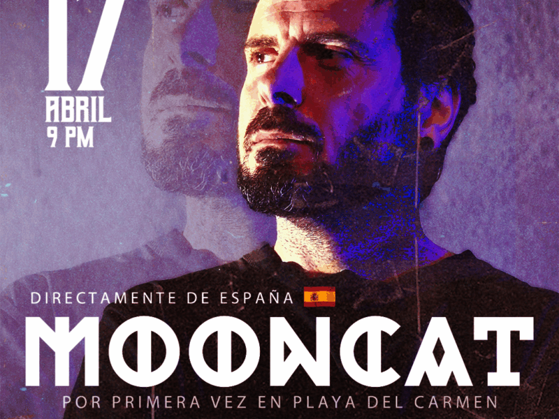 Mooncat - 2025.04.17